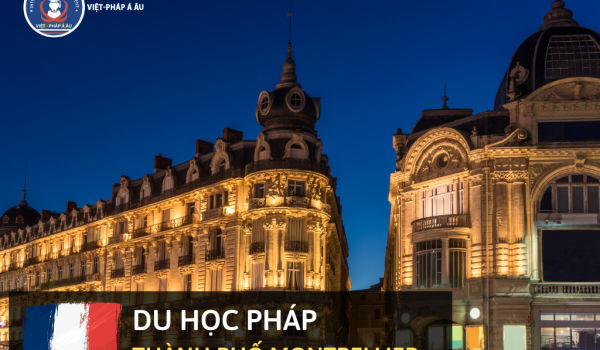 24fb_du20hoc20phC3A1p20thanh20pho20montpellier.png