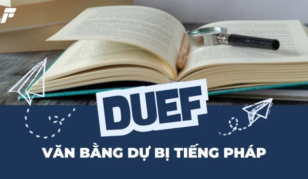 68a58ef90c52121a64a64011_van-bang-duef-du-bi-tieng-phap.webp.webp