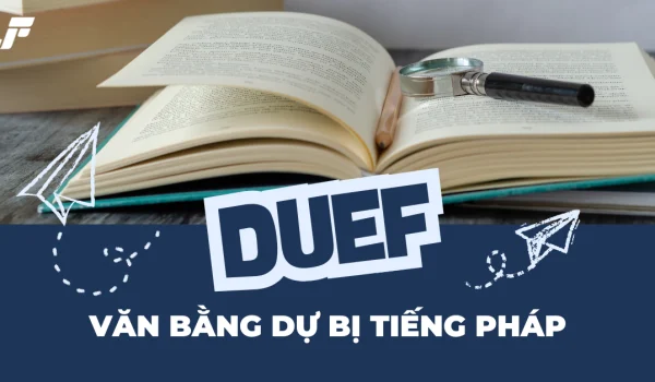 68a58ef90c52121a64a64011_van-bang-duef-du-bi-tieng-phap.webp.webp