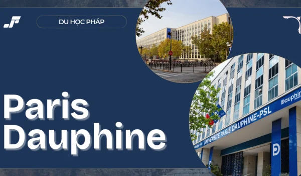 695545b7fc5e33c2f8005b6d_du-hoc-phap-truong-paris-dauphine201.webp.webp