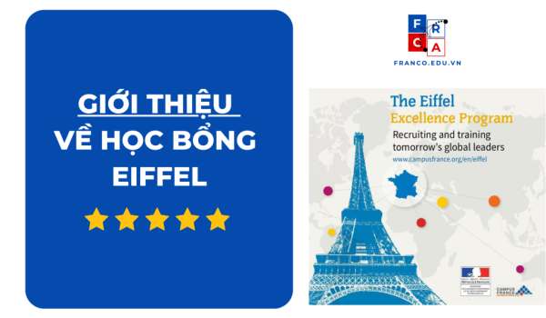 Cac-truong-dai-hoc-Tong-hop-1024x768.png