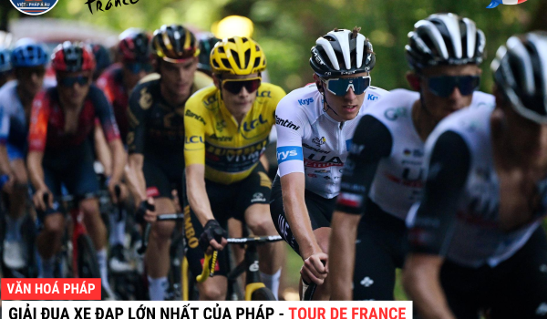 TOUR-DE-FRANCE.png